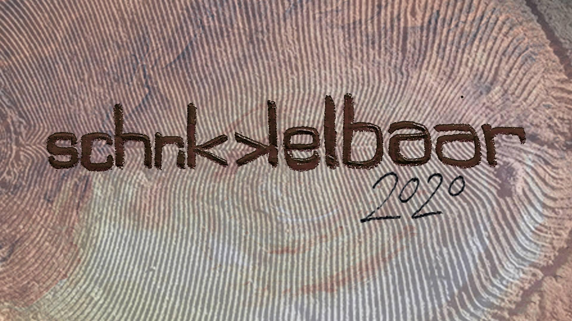schrikkelbaar 2020