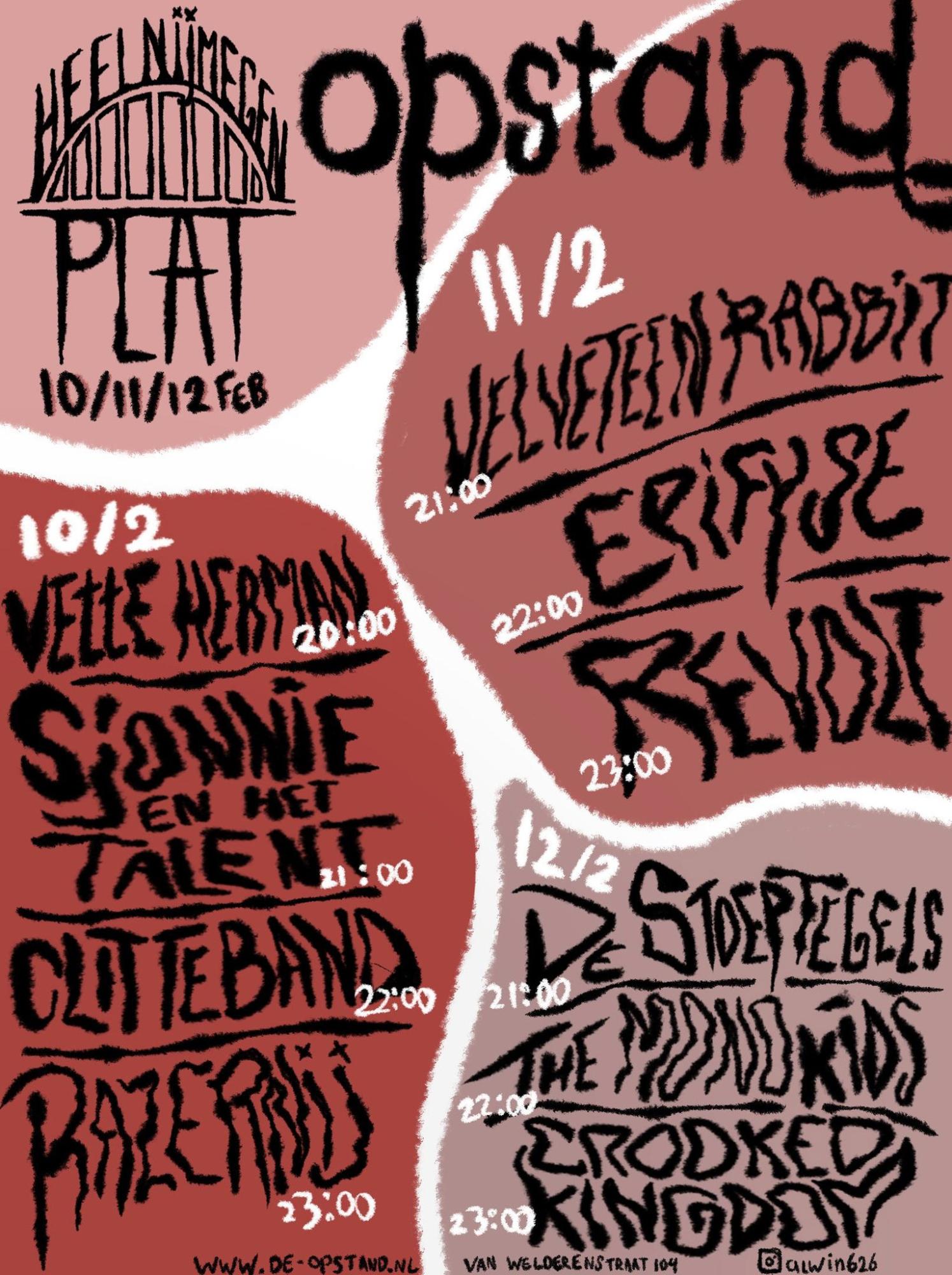 heel nijmegen plat festival nijmeegse collectieven opstand sok onderbroek bandjes feest kelder cafe de plak