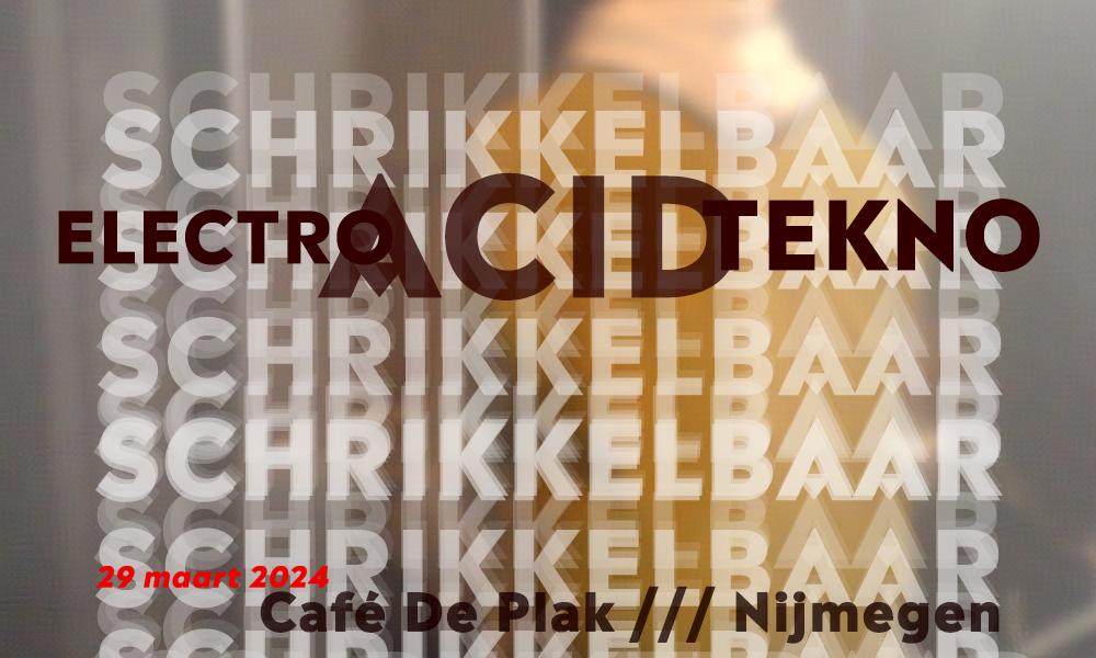 schrikkelbaar feest party kelder cafe de plak nijmegen 29 maart 2024